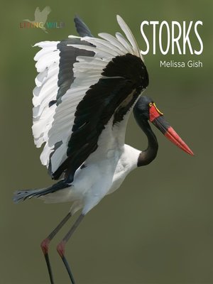 cover image of Storks